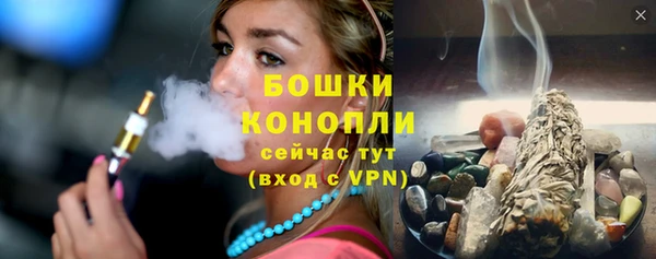ПСИЛОЦИБИНОВЫЕ ГРИБЫ Горняк