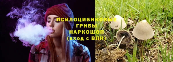 каннабис Горнозаводск
