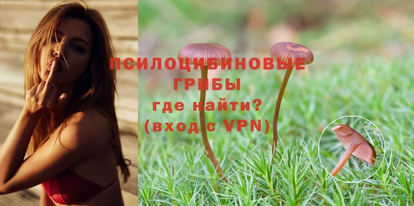 ПСИЛОЦИБИНОВЫЕ ГРИБЫ Горняк